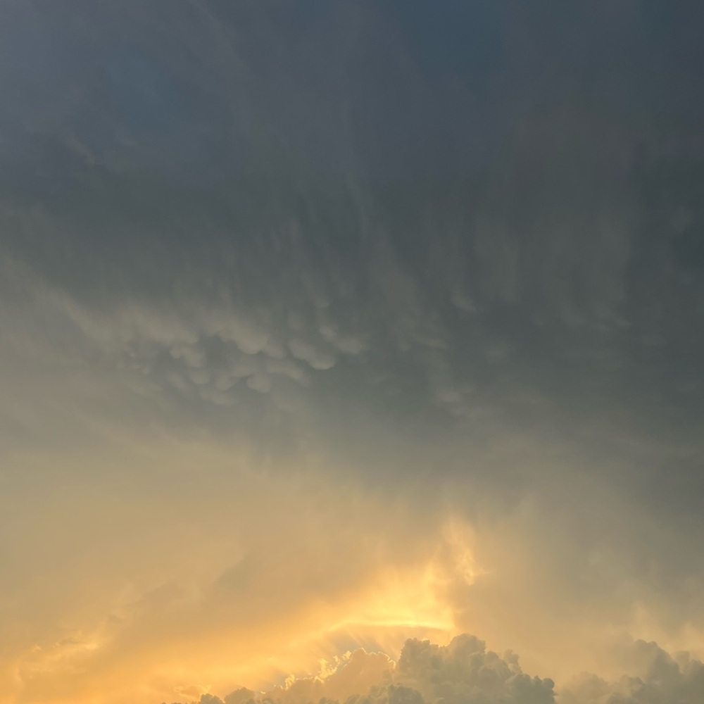 Meet your Posher, Neha